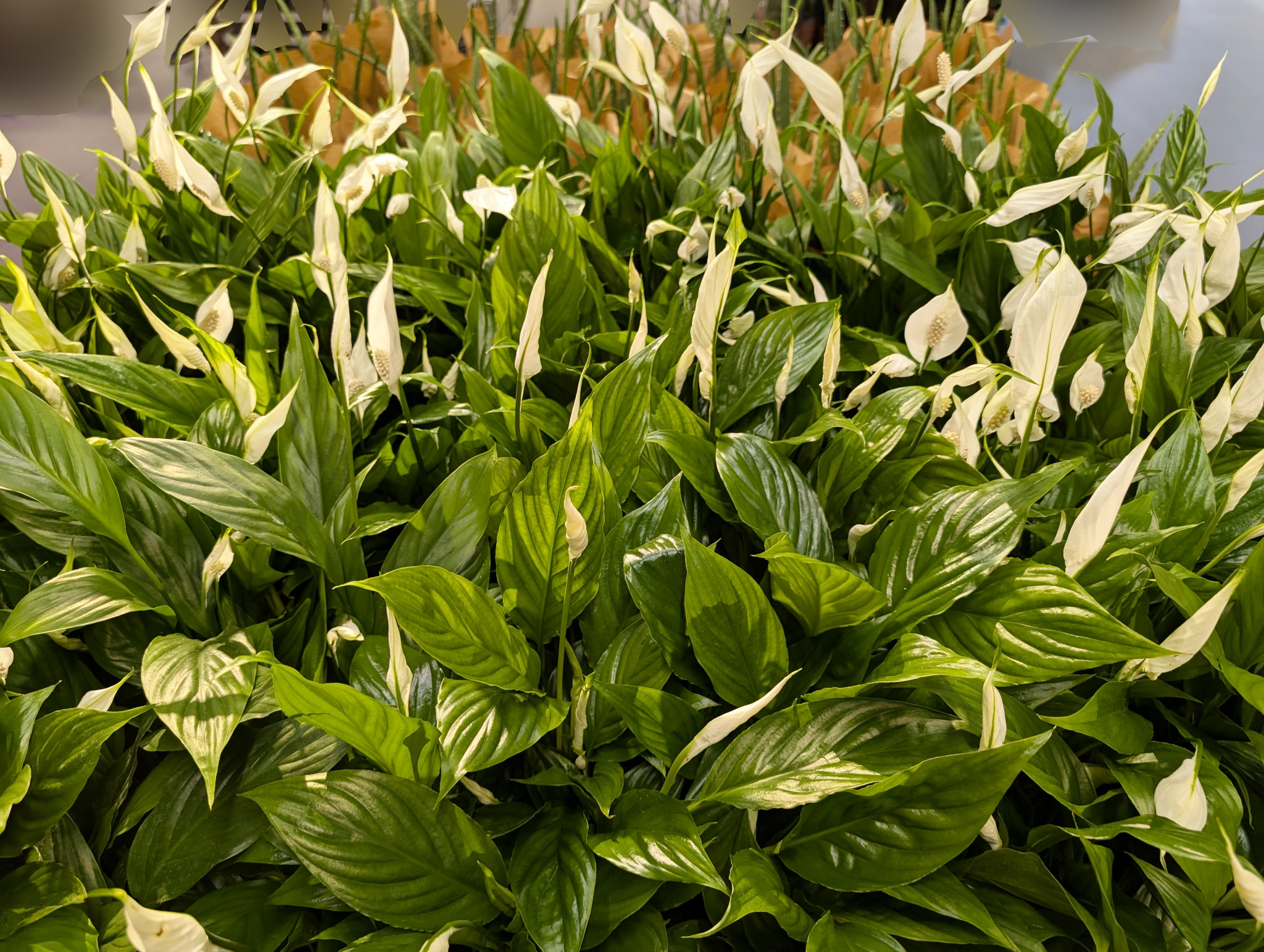 haifa_design_exhibitions_about_24