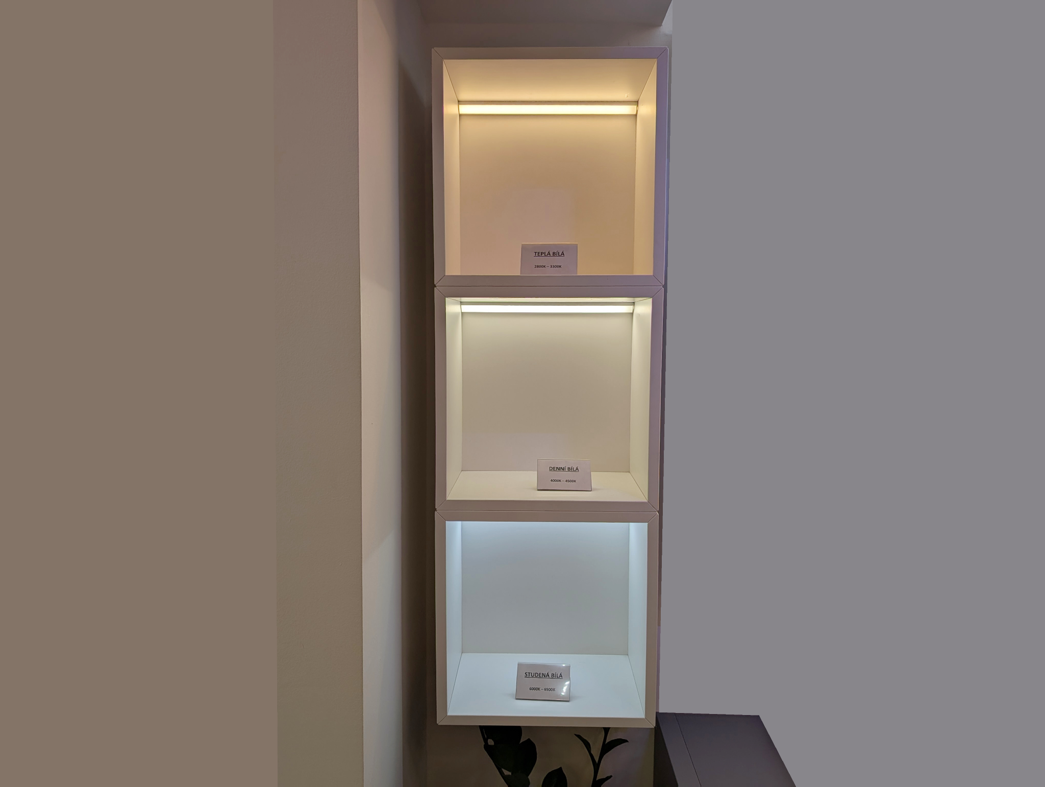 haifa_design_exhibitions_about_28